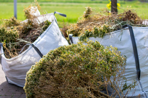 Best Appliance Removal Near Me  in Wickliffe, OH